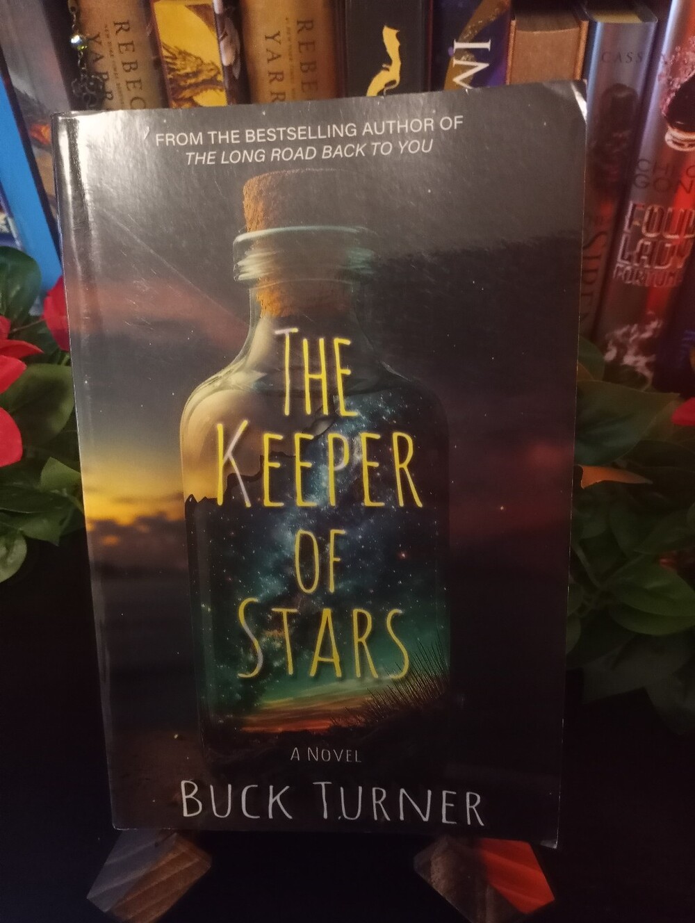 The Keeper Of Stars By Buck Turner
